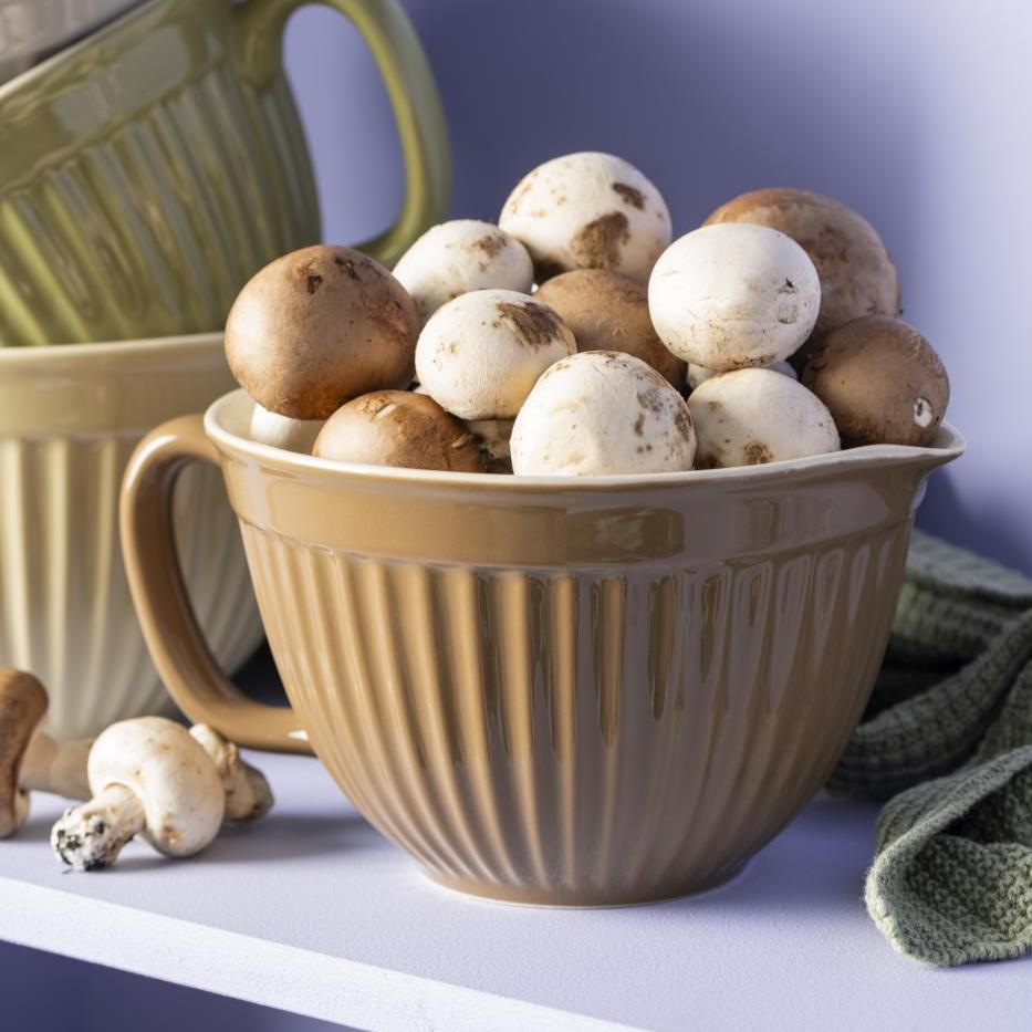 Batter Bowl Mynte  - Hazelnut