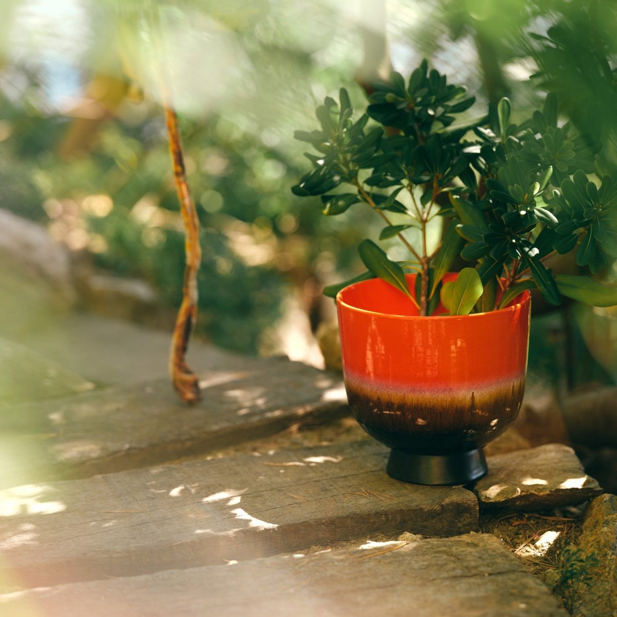 Retro Flower Pot Cherry Red