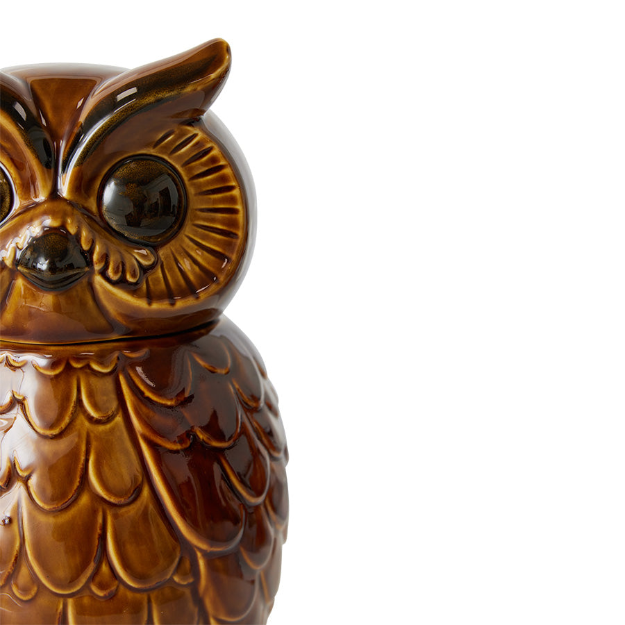 Ceramic Owl Jar Roasted